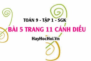 Bài 5 trang 11 Toán 9 tập 1 Cánh Diều